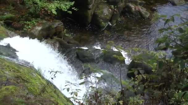 Cascades Triberg Forêt Noire — Video