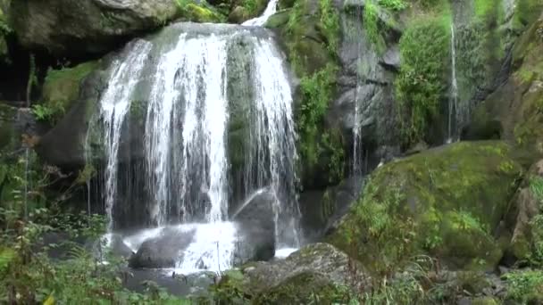 黒い森トリベルク滝 — ストック動画