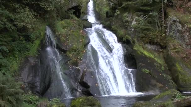 Καταρράκτες Triberg Στο Μαύρο Δάσος — Αρχείο Βίντεο