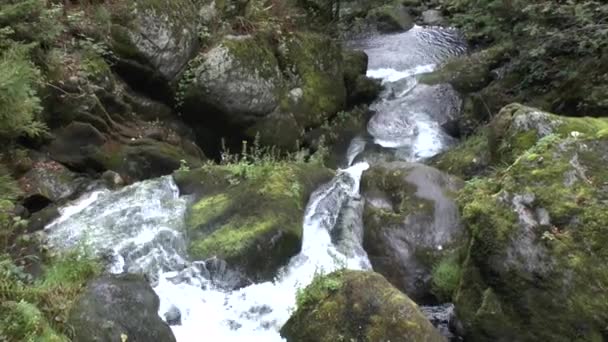 Cascades Triberg Forêt Noire — Video