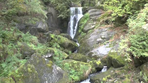 Wodospadów Czarnym Lesie — Wideo stockowe
