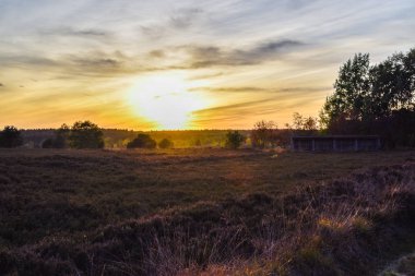Luneburg Heath Altın Sonbahar gündoğumu günbatımı