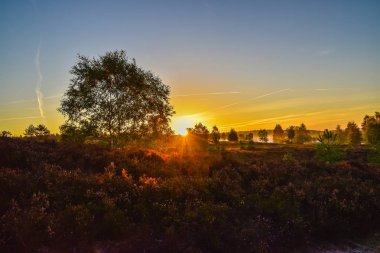 Luneburg Heath Altın Sonbahar gündoğumu günbatımı
