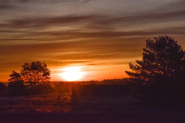 Salida Del Sol Puesta Del Sol Otoño Dorado Luneburg Heath — Foto de Stock