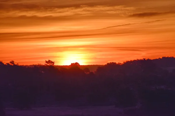 Sunrise Sunset Gouden Herfst Hamburg Heide — Stockfoto