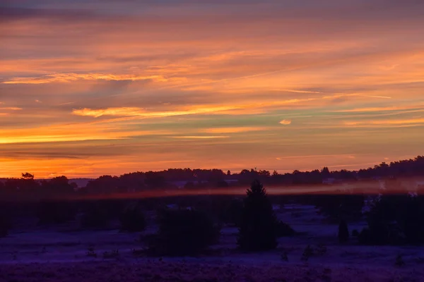 Sunrise Sunset Outono Dourado Luneburg Heath — Fotografia de Stock