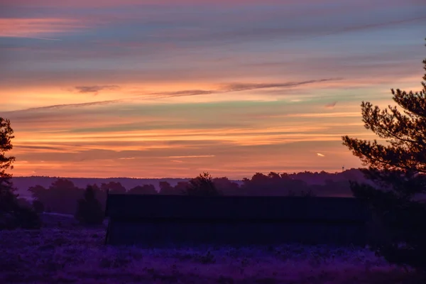 Восход Солнца Золотой Осенью Лунебургской Долине — стоковое фото
