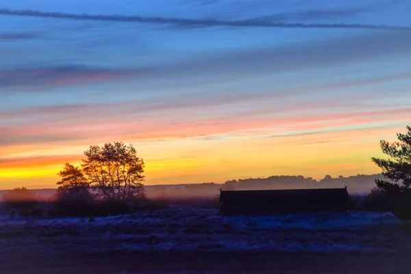 Sunrise Sunset Outono Dourado Luneburg Heath — Fotografia de Stock