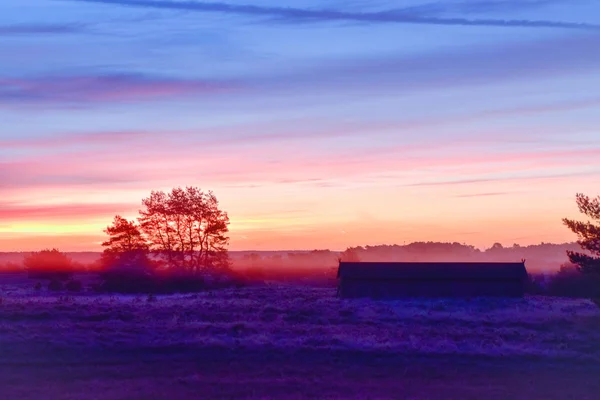 Salida Del Sol Puesta Del Sol Otoño Dorado Luneburg Heath — Foto de Stock