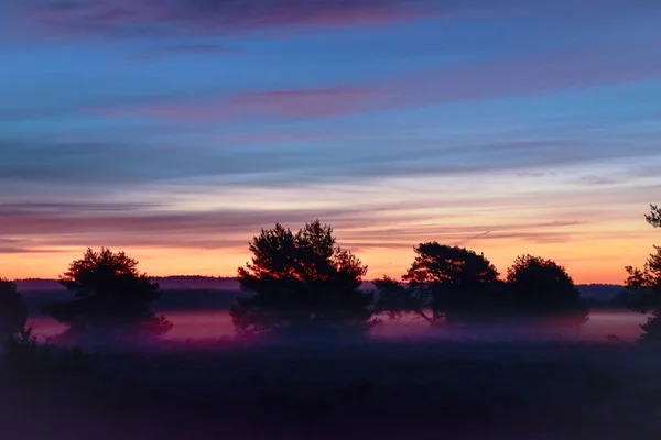 Sunrise Sunset Outono Dourado Luneburg Heath — Fotografia de Stock