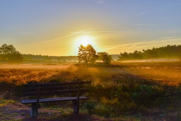 Sonnenaufgang Sonnenuntergang Goldenen Herbst Der Lüneburger Heide — Stockfoto