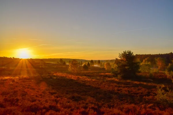 Salida Del Sol Puesta Del Sol Otoño Dorado Luneburg Heath — Foto de Stock