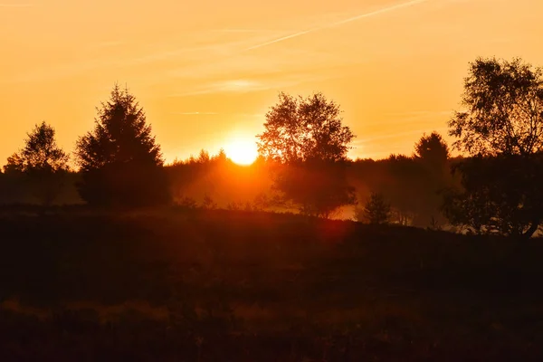 Sunrise Sunset Gouden Herfst Hamburg Heide — Stockfoto
