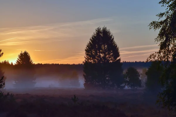 Salida Del Sol Puesta Del Sol Otoño Dorado Luneburg Heath — Foto de Stock