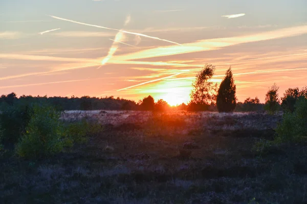 Wschody Zachody Słońca Złotej Jesieni Lüneburg Heath — Zdjęcie stockowe