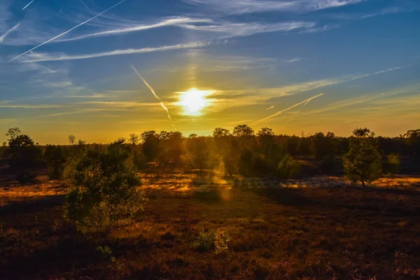 Sunrise Sunset Outono Dourado Luneburg Heath — Fotografia de Stock