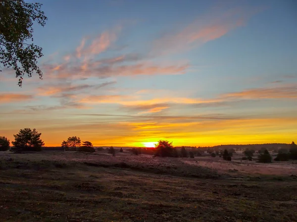 Sunrise Sunset Outono Dourado Luneburg Heath — Fotografia de Stock