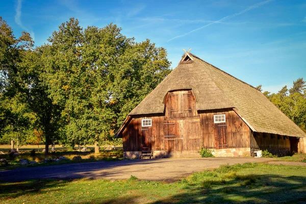 Undeloh Lneburg のヒースに黄金色の秋 — ストック写真