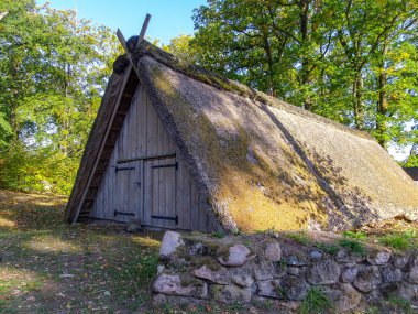 Lneburg Heath yakınındaki Undeloh Altın Sonbahar