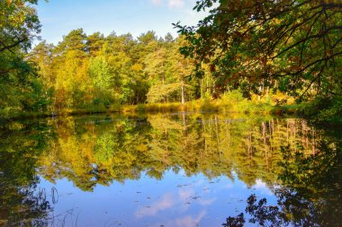 Lneburg Heath yakınındaki Wesel Undeloh papaz Bode gölet