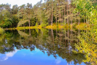 Lneburg Heath yakınındaki Wesel Undeloh papaz Bode gölet