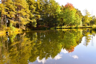 Lneburg Heath yakınındaki Wesel Undeloh papaz Bode gölet