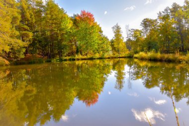 Lneburg Heath yakınındaki Wesel Undeloh papaz Bode gölet