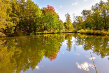 Lneburg Heath yakınındaki Wesel Undeloh papaz Bode gölet