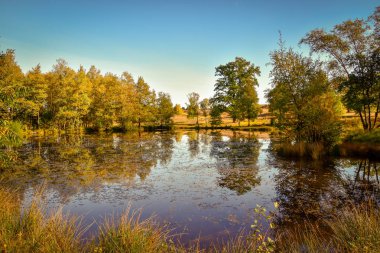 Lneburg Heath yakınındaki Wesel Undeloh papaz Bode gölet