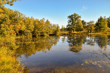 Lneburg Heath yakınındaki Wesel Undeloh papaz Bode gölet