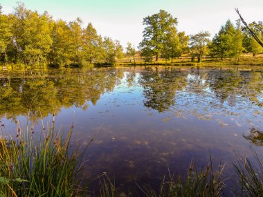 Lneburg Heath yakınındaki Wesel Undeloh papaz Bode gölet