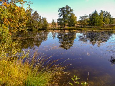 Lneburg Heath yakınındaki Wesel Undeloh papaz Bode gölet
