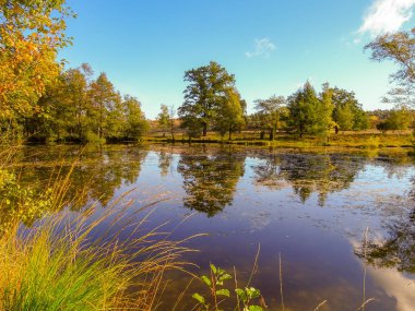 Lneburg Heath yakınındaki Wesel Undeloh papaz Bode gölet