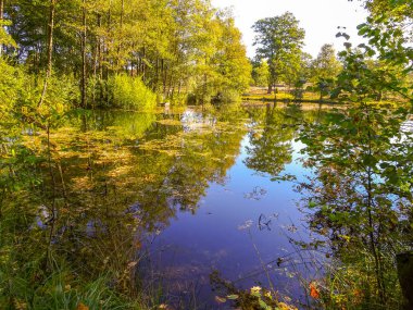 Lneburg Heath yakınındaki Wesel Undeloh papaz Bode gölet