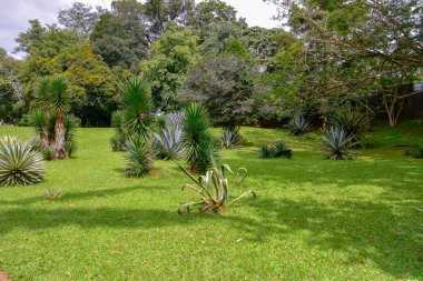 Kandy şehir Sri Lanka