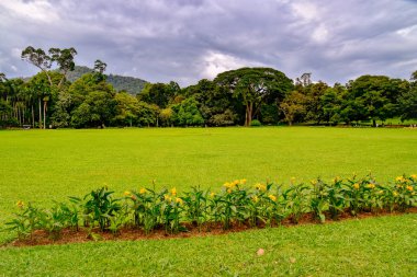 Kandy şehir Sri Lanka