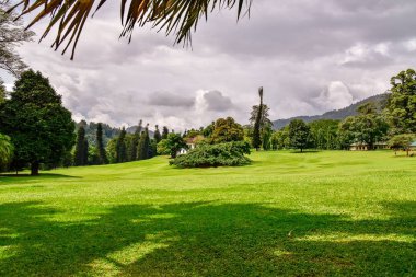 Kandy şehir Sri Lanka