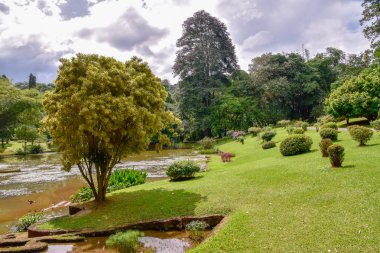Kandy şehir Sri Lanka