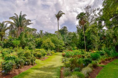 Kandy şehir Sri Lanka