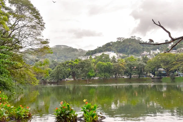 Kandy Stadt Sri Lanka — Stockfoto