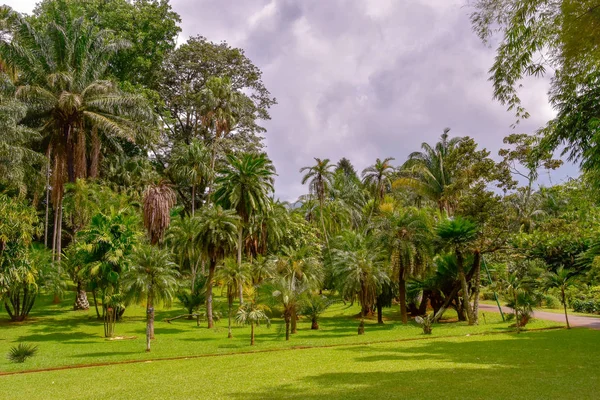 Kandy Cidade Sri Lanka — Fotografia de Stock