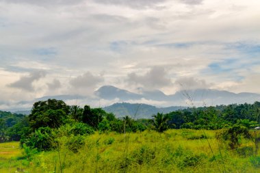 Sri Lanka'nın güzel manzara resimleri
