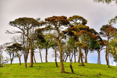 Sri Lanka'nın güzel manzara resimleri