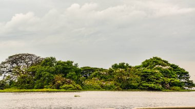 Sri Lanka'nın güzel manzara resimleri