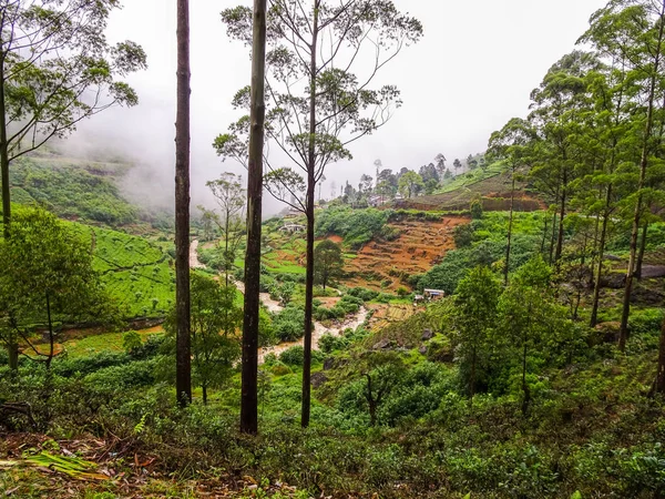 Paesaggi Bellissimi Foto Sri Lanka — Foto Stock