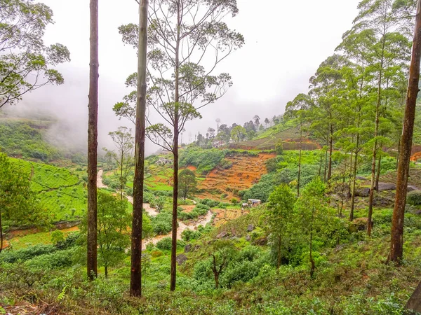 Paesaggi Bellissimi Foto Sri Lanka — Foto Stock