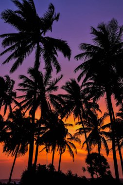 Sri Lanka sahilinde gün batımı