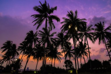 Sri Lanka sahilinde gün batımı