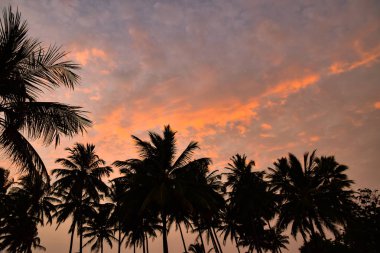 Sri Lanka sahilinde gün batımı