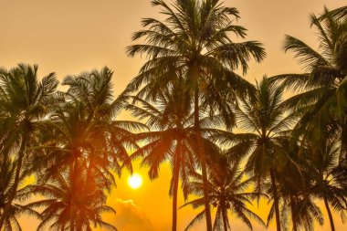 Sri Lanka sahilinde gün batımı